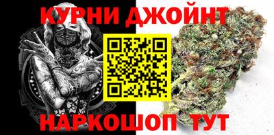 apvp Бердск