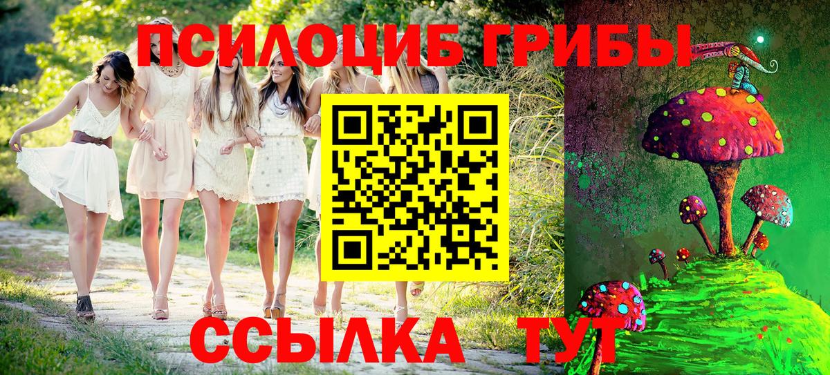 Ипатово  Псилоцибиновые грибы мухоморы  Вход с VPN 